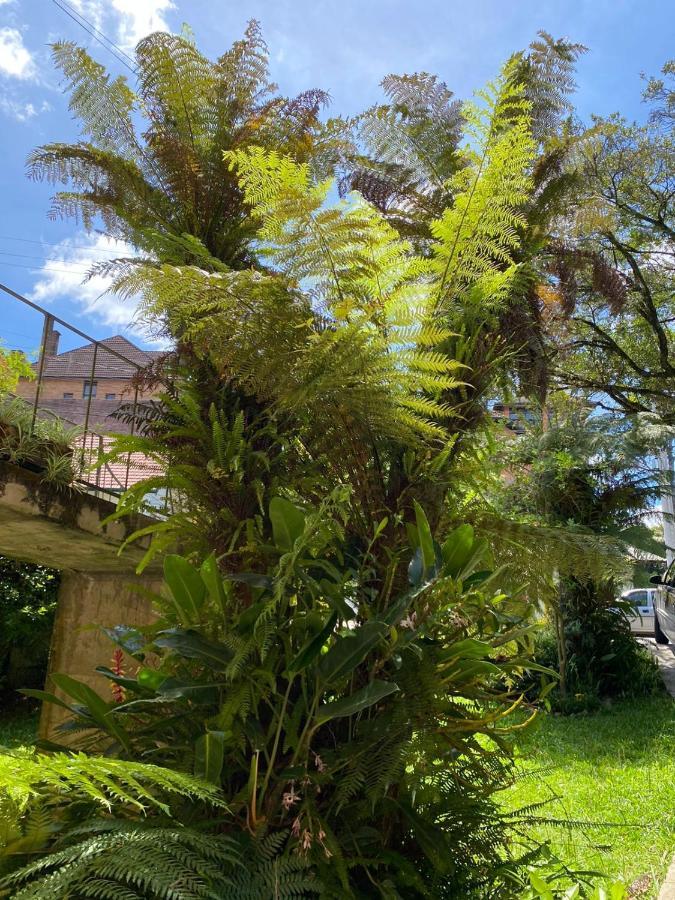 Casa da Vó Diva no Centro de Gramado Vila Exterior foto